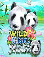 รู้จักกับ link sbobet ม อ ถ อ เล่นง่ายได้กำไร